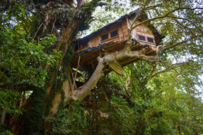 Гостиница Kumbuk Tree House Yala  Tissamaharama